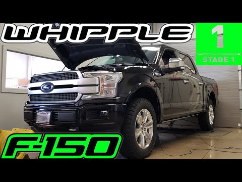 2019 F150 5.0 WHIPPLE SUPERCHARGER (Stage 1) Dyno @ Brenspeed