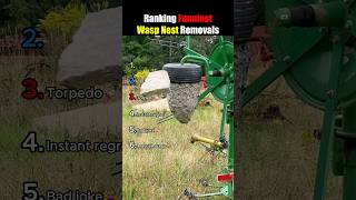 Ranking Most Chaotic Wasp Nest Moments 🐝🔥#shorts #usa
