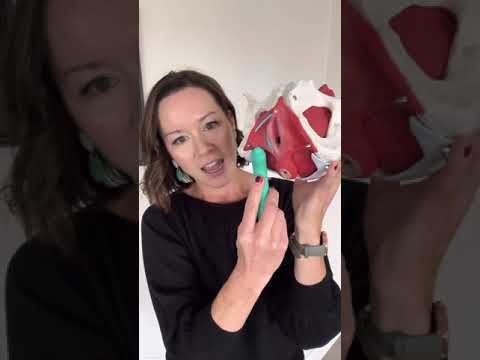 External pudendal nerve release using the Intimate Rose wand