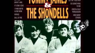 The Shondells & Tommy James - Mony Mony