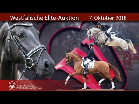 Westfälische Elite-Auktion, 7. Oktober 2018. Der Trailer