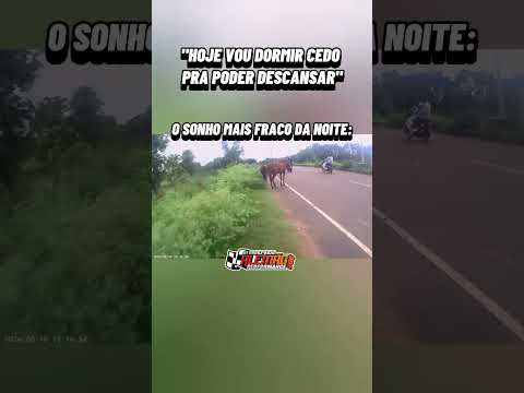 CULPA DO CAVALO OU DO MOTOQUEIRO? 🫣🤣🤣🤣🔥....#meme #motos #motoforte #motorzão #alemaoperformance66
