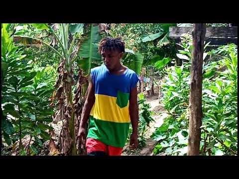 Home Boys part (7) funny clip_stole bilnut (Solomon islands) 2020