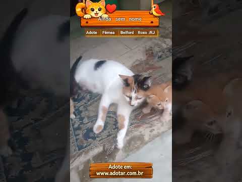 Vídeo de Ainda sem nome