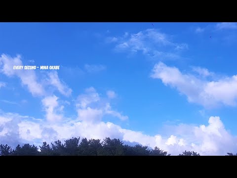 🍉인스타 릴스보다가 찾은 노래 Every Second - Mina Okabe🍧