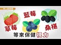 眼睛累了嗎？營養師：花青素力量大，天天吃莓果超養眼