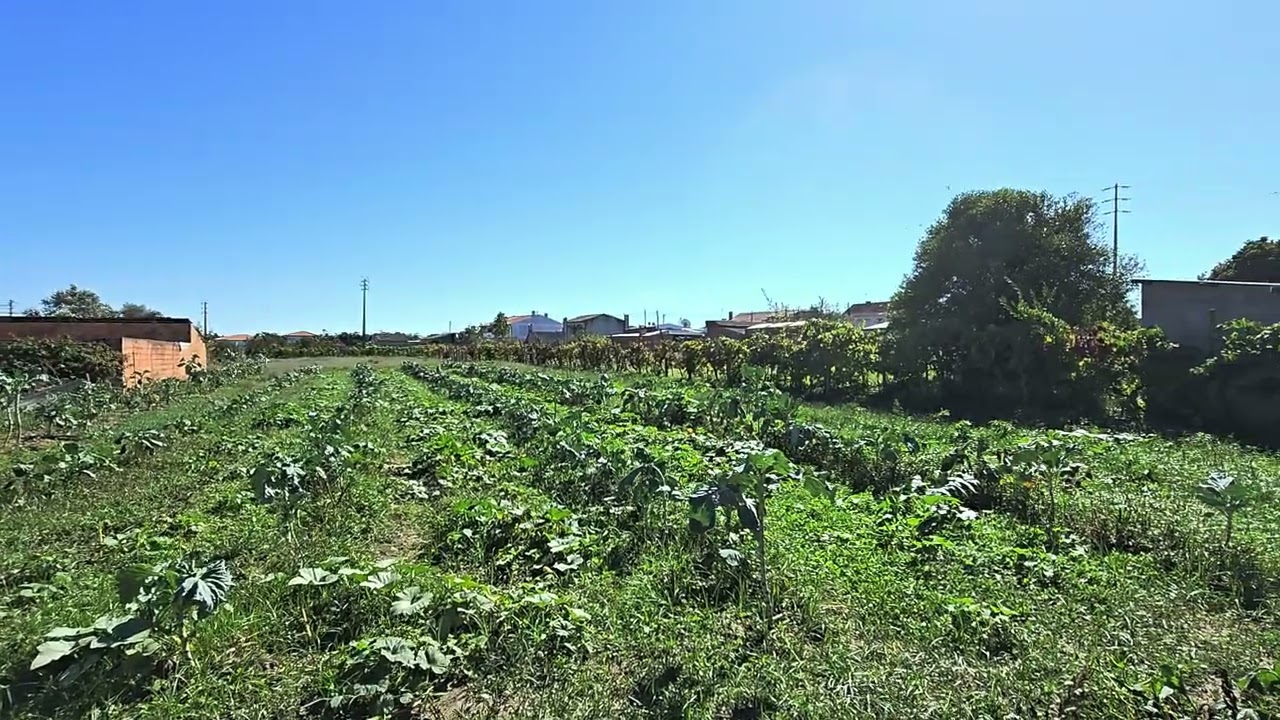 Vídeo do imóvel