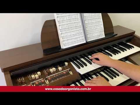 TOKAI MD 7 WENGUE - HINO 305 - OH! QUE FUNDAMENTO - CASA DAS ORGANISTAS