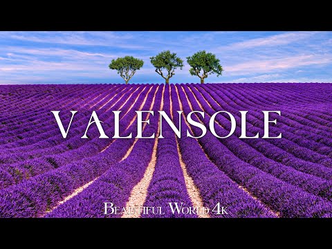 Valensole 4k Lavender Fields..