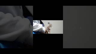 【#盗作】【#ヨルシカ】【#shorts】【#永久機関】  #盗作 #ヨルシカ  プロフよりYouTube fullへ飛べます！ #初音ミク #anime  #hatsunemiku