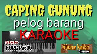 Download lagu CAPING GUNUNG KARAOKE-PELOG BARANG mp3