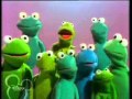 Muppets I M In Love With A Big Blue Frog