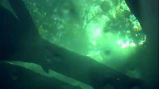 preview picture of video 'Scuba diving in Blue Springs cavern, Volusia, FL'