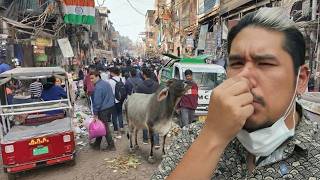 🇮🇳 INDIA was the DISASTER I expected