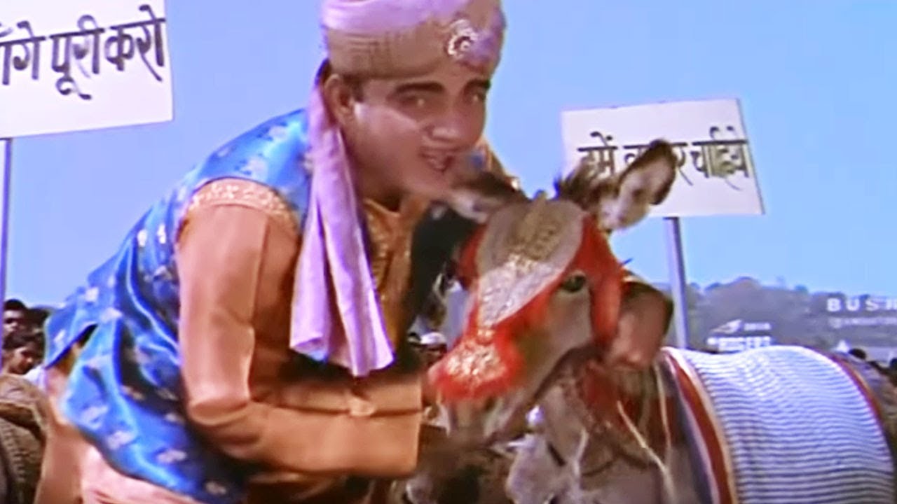 Mera Gadha Gadho Ka Leader Lyrics | Meharban | Mehmood, Mohammed Rafi | Ravi