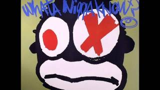 KMD - What A Nigga Know? (remix) ft. MF Grimm