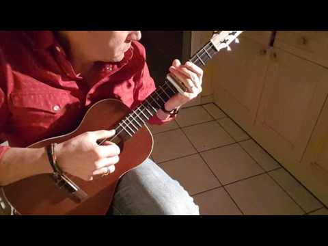 Houston In Two Seconds. Slide Ukulele