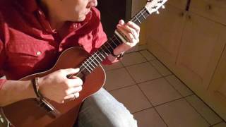 Houston In Two Seconds. Slide Ukulele