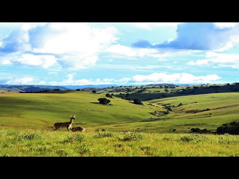 Nyika National Park - An Amazing Tourist Destination in Malawi