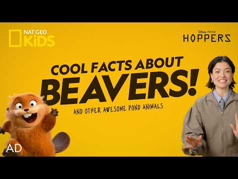 AD | Hoppers Clips and Activities! 🦫 | Hoppers is now playing in theaters 🍿 | @natgeokids