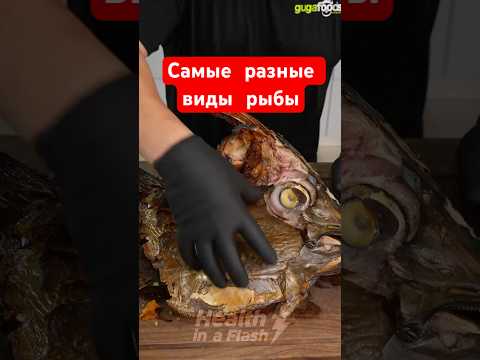 Самые разные виды рыбы #fish #fishing #fishingvideo #природа #food #healtyfood #viral #russia