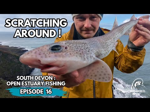 Shore Fishing UK: Is Anything Actually Biting?... surprising results ! 