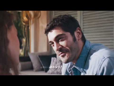 Shahsoo and Maran Black Swan