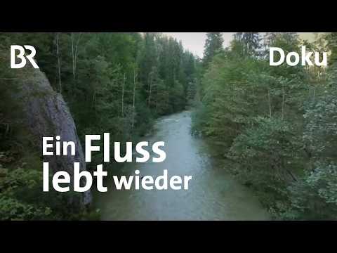 Die Wertach - Kreuzotter, Rinder, Salamander | Versteckte Paradiese | Bayern erleben | Doku | BR