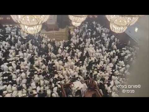 Hoshana Rabba 5782 With Belzer Rebbe