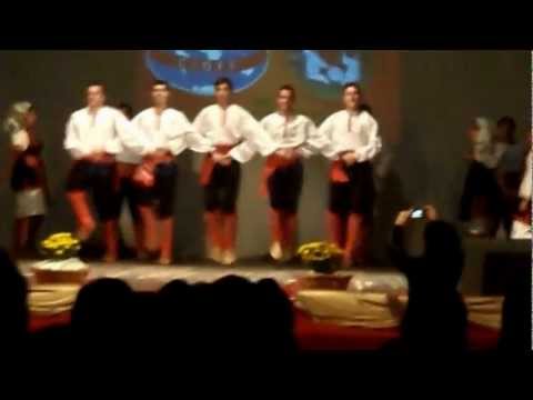 Ansambl Filigrani   Petorka HD