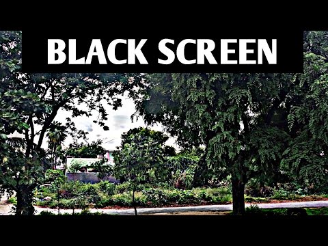 Rain and Deep Thunder Nature Sounds for Sleeping - Relaxing Rain by Sunitha