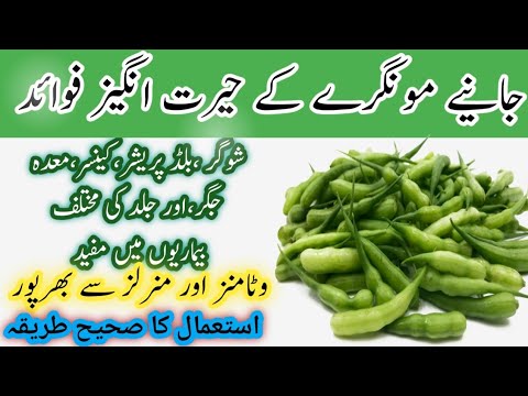 Mongray ke Fayde in Urdu/Hindi|Benefits of Radish Seeds|pods/beans benefits it's use & side effects
