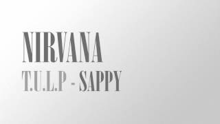 Nirvana - Sappy (T.U.L.P cover) - Tribute to Nirvana