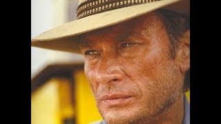 JOHNNY HALLYDAY la fille de l&#39;hiver clip dan sadydan