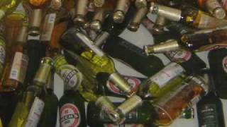 Deichkind - Prost - BIER