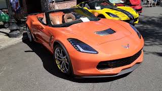 Corvette show and shine ! wow!