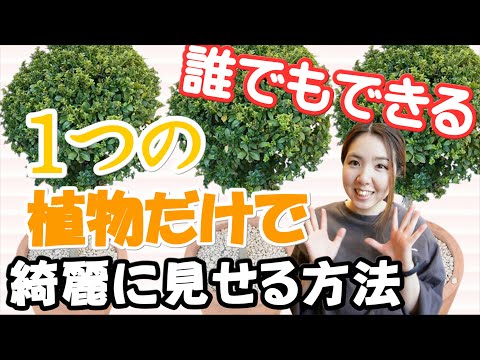 いくつかのわかりやすい手順でテラスを春に向けて準備する方法  庭園
