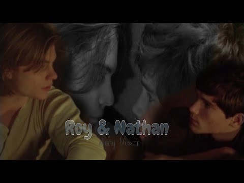 Roy & Nathan | cherry blossom | gay love story | Dream Boy