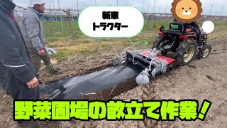 【野菜】野菜圃場の畝立て作業！【盈科】