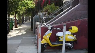 All Things I Found // Explorer of the World // Frances England