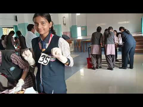 Inter House Salad Decoration Competition 2024