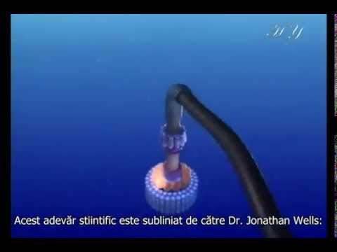 O lovitura stiintifica Darwinismului (Teoria Evolutiei) - Complexitate ireductibila  2