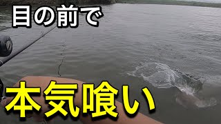 【コラボ】目の前で僕のビッグぺ○スが襲われそうになりました。