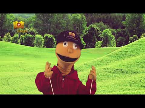 3ºBÁSICO/HISTORIA - Derechos de los niños