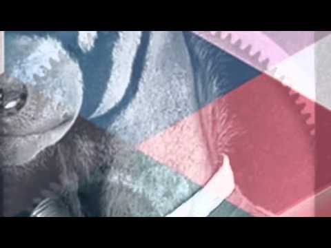 Bjorn Wolf & Youri Donatz - Dexter