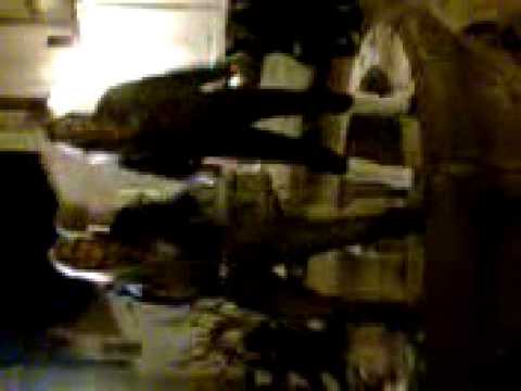 andrea en fiestas de benafer