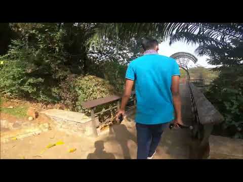 DAY VLOG 01 #Pinnawala #zoo  #animals  #travel  #gopro