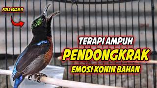 Download lagu SUARA BURUNG KOLIBRI NINJA GACOR FULL ISIAN ROLL TEMBAK !! PANCINGAN KONIN BAHAN AGAR CEPAT EMOSI mp3