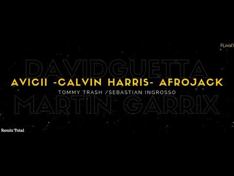 AVICII - CALVIN HARRIS - AFROJACK - TOMMY TRASH - DAVID GUETA - MARTIN GARRIX - ELECTRO HOUSE MIX