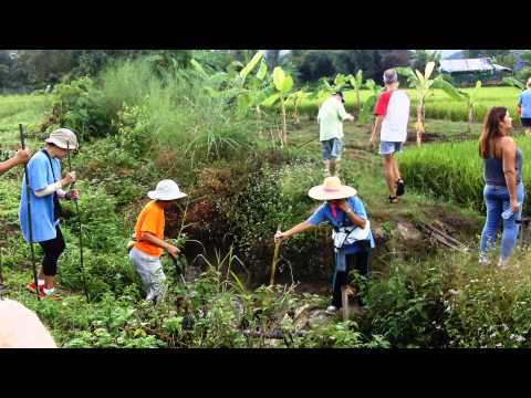 Chiang Rai "Hash," walking in the woods!